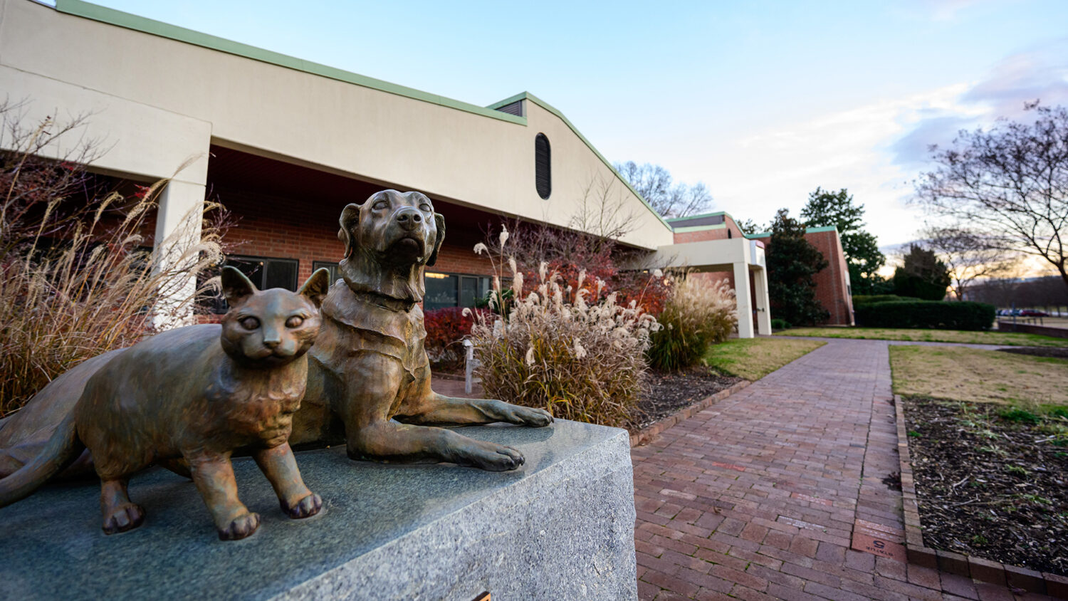 Outside the buildings of CVM, a statue of a cat and dog welcomes visitors.