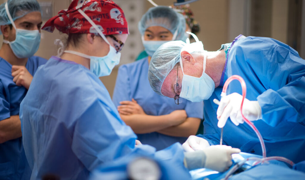 CVM veterinary surgeons remove cancerous mass.