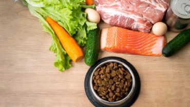 hypoallergenic protein diet for pets